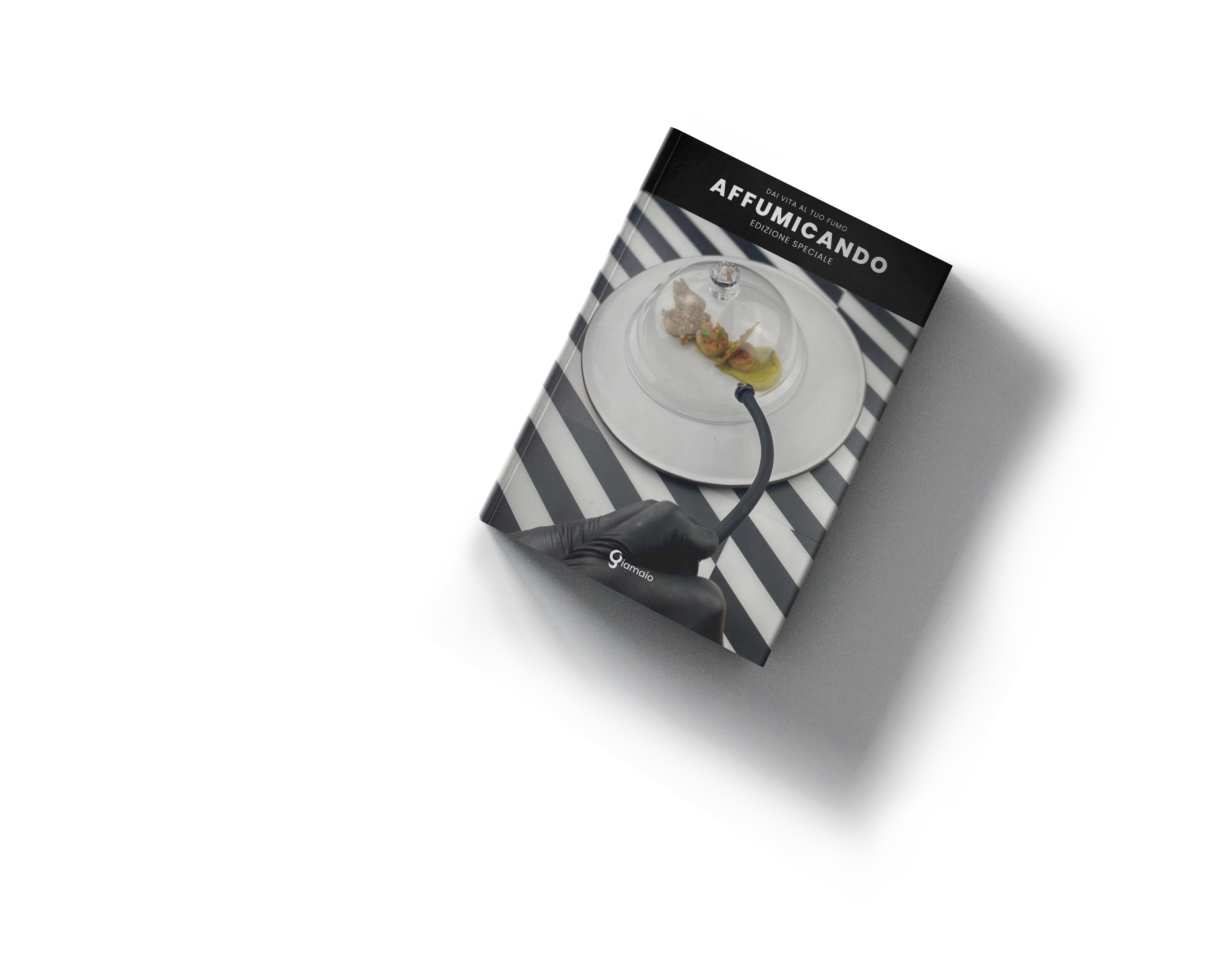 Smoking Cookbook eBook |Jamaio|